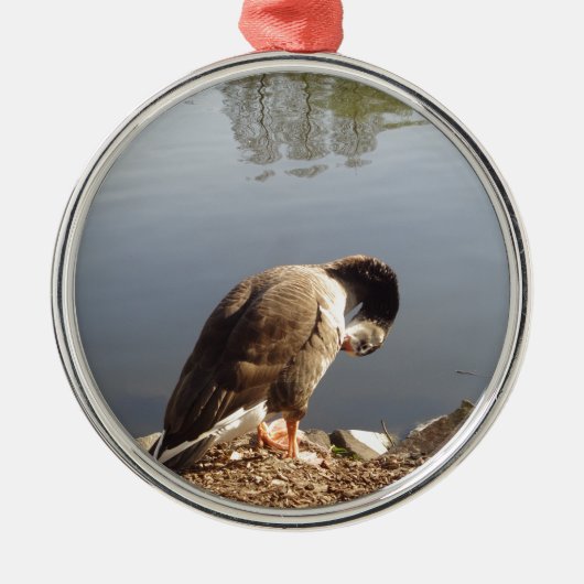 Namaste Gänse Kopf, Natur, Wildtiere, Vögel Ornament Aus Metall (Vorne)