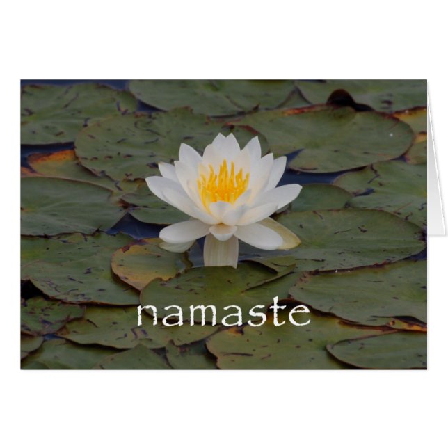 Namaste Lotus Blossom (Vorderseite (Horizontal))