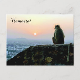 Namaste Mediation Yoga Monkey in Indien bei Sunset Postkarte