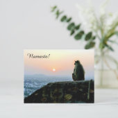 Namaste Mediation Yoga Monkey in Indien bei Sunset Postkarte (Stehend Vorderseite)