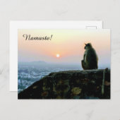 Namaste Mediation Yoga Monkey in Indien bei Sunset Postkarte (Vorne/Hinten)