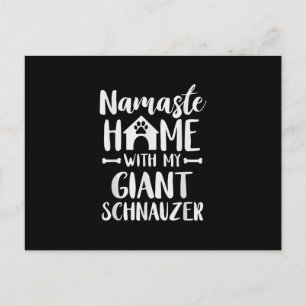 Namaste Zuhause Giant Schnauzer - Schnauzer Lover Postkarte