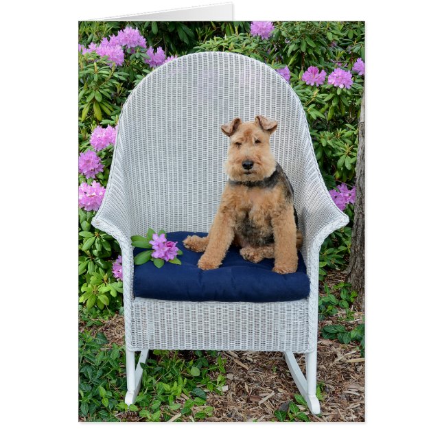 Name Day-Welsh Terrier auf Korbstühlen (Vorne)