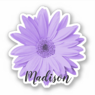 Name der lila Daisy-Blume Aufkleber