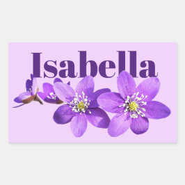 Name der lila Hepatica-Blumen Rechteckiger Aufkleber