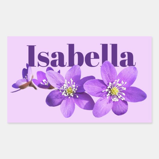 Name der lila Hepatica-Blumen Rechteckiger Aufkleber (Vorderseite)