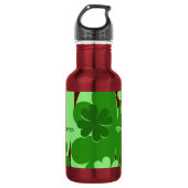 Name der niedlichen Lady Bug & Clover Leaf Edelstahlflasche (Vorderseite)