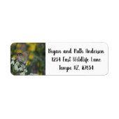 Name der Schmetterlingsadresse des Kapitäns (Vorne)