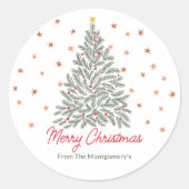 Name der skandinavischen Weihnachtsbaumfamilie Runder Aufkleber (Vorderseite)