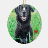 Name des Begleiters des Fotos Keramik Ornament (Links)