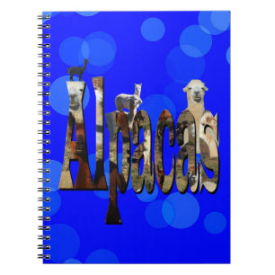 Name des Blue Alpaca-Logos mit Alpacas, Notizblock