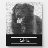 Name des Docks Fotoplatte (Vorderseite)