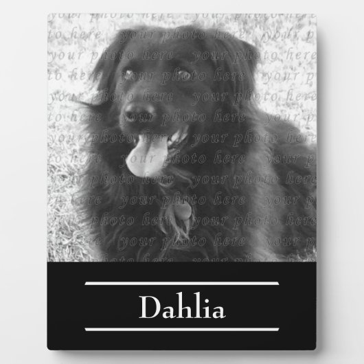 Name des Docks Fotoplatte (Vorderseite)