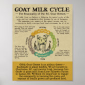 Name des Drucks Poster (Vorne)