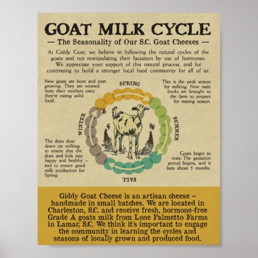 Name des Drucks Poster (Vorne)