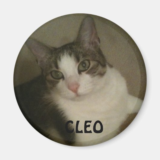 Name des Foto-Magneten für Haustiere Magnet (Vorne)