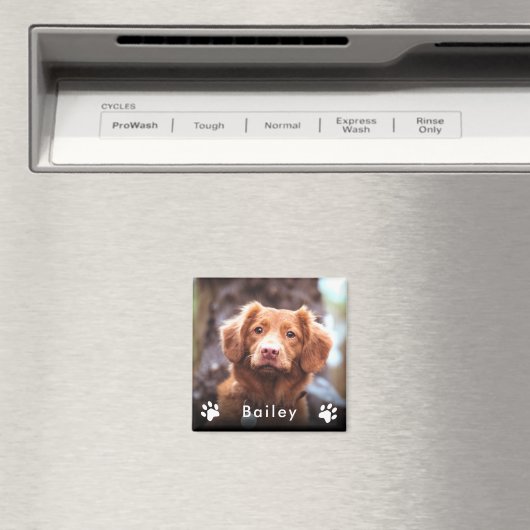 Name des Fotos Magnet (In Situ (Geschirrspüler))