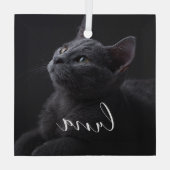 Name des Fotos Ornament Aus Glas (Rückseite)