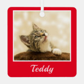 Name des Fotos Ornament Aus Metall (Rückseite)