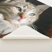 Name des Fotos Sherpadecke (3/4)