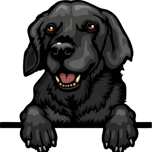 Name des Hundes oder Ihr Name, Labrador Retriever  Duffle Bag