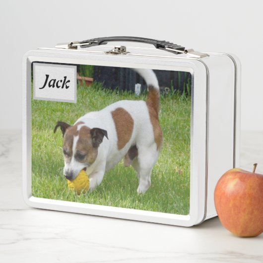 Name des Jacks mit Fox Terrier, Metall Brotdose (Beispiel)