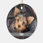 Name des niedlichen Begleiters des Fotos oder des Keramik Ornament (Links)