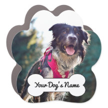 Name des niedlichen Hundes-Fotos