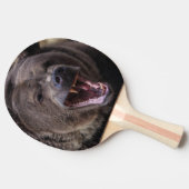 Name des Ping-Game Tischtennis Schläger (Seitenansicht)