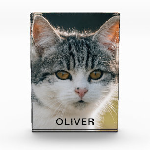 Name des Tieres Fotoblock