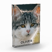 Name des Tieres Fotoblock (Links)