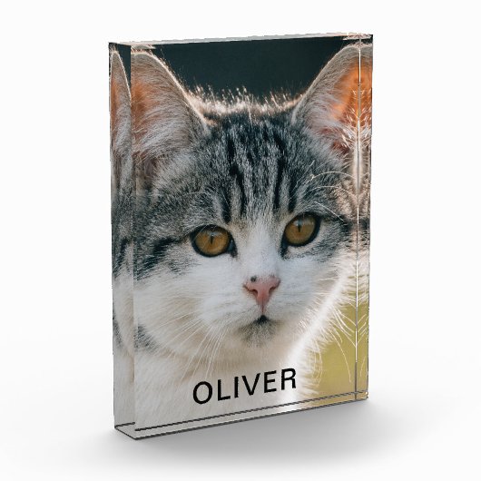 Name des Tieres Fotoblock (Links)