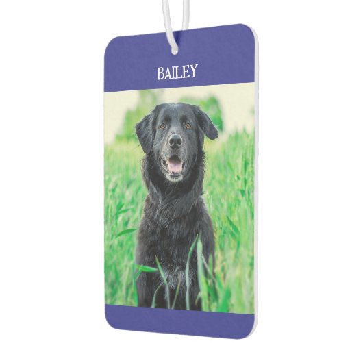 Name des Tieres und Foto Autolufterfrischer (Links)