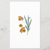 Name dieses Gewürzes - Orange-Blume Flyer (Hinten)