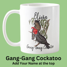 Name Gang-Gang Cockatoo Australian Bird Animal hin