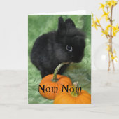 Name Halloween Bunny Card Karte (Gelbe Blume)