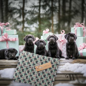 Name Labrador Puppy Mint Moderne Weihnachten hinzu Geschenkpapier