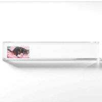 Name Plakat des Schneior Dave Schreibtisches