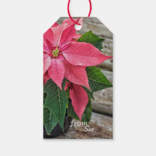 Name-rustikale Poinsettia-Geschenk-Umbauten Geschenkanhänger