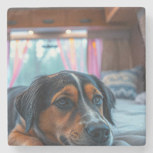Name: Träumender Hund Steinuntersetzer