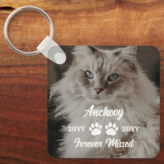 Name und Foto fehlender Katzen Schlüsselanhänger (Vorderseite)