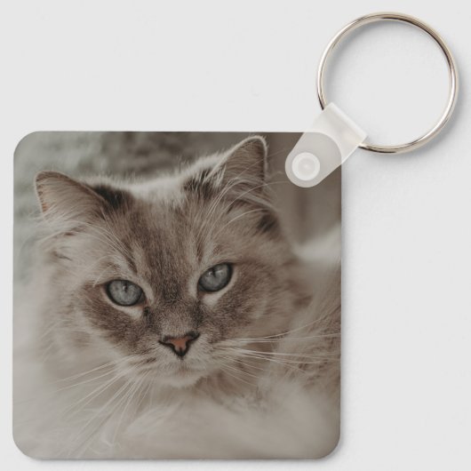 Name und Foto fehlender Katzen Schlüsselanhänger (Rückseite)