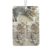 Name und Foto personalisiert hinzufügen Autolufterfrischer (Rückseite)