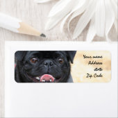 Namen der Adresse des Schwarzen Mops (Insitu)