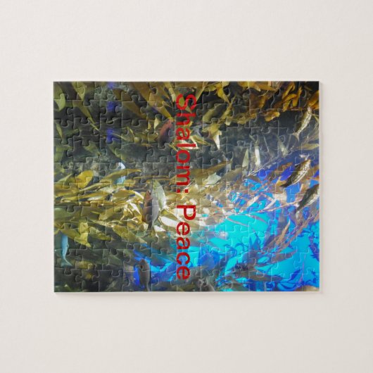 Namen des GOTTES w/Meaning Shalom: Frieden Puzzle (Horizontal)