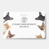 Namensschild Logo des Tierarztes des Abzeichens Ausweis (Rückseite)