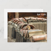 Nami Island Postkarte (Vorne/Hinten)