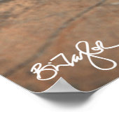 Namib Day Gecko (Bradfield's Poster (Ecke)