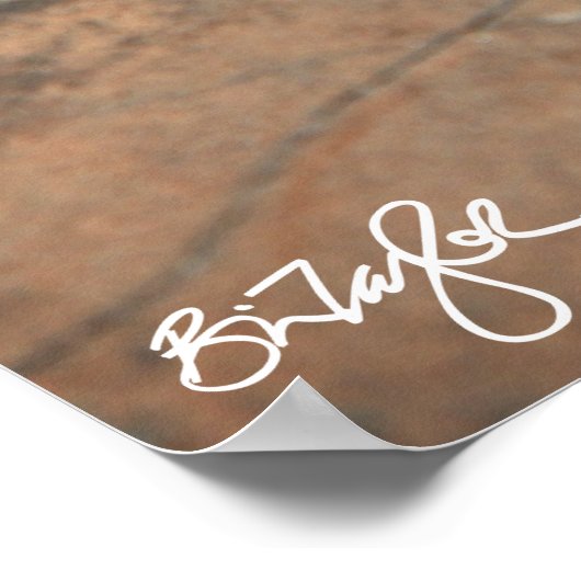 Namib Day Gecko (Bradfield's Poster (Ecke)