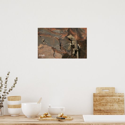 Namib Day Gecko (Bradfield's Poster (Küche)